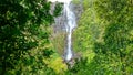 Hiking in New Zealand - North Island near Matamata