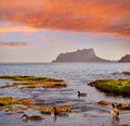 Ifach Penon view from Moraira beach with ducks Royalty Free Stock Photo