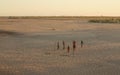 Ifaty, Madagascar - April 30, 2019: Group of unknown Malagasy kids playing with ball on large sandy low tide beach at afternoon, Royalty Free Stock Photo