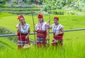 Ifugao ethnic minority in the Philippines Royalty Free Stock Photo