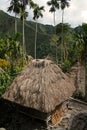 Ifugao huts batad rice terraces philippines Royalty Free Stock Photo