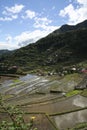 Ifugao rice terraces batad philippines Royalty Free Stock Photo