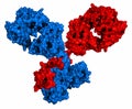 IgG1 monoclonal antibody immunoglobulin. 3D rendering. Many biotech drugs are antibodies. Molecular surface model.