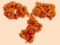 IgG2a monoclonal antibody immunoglobulin. Many biotech drugs are antibodies. Molecular surface model.