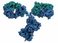 IgG2a monoclonal antibody (immunoglobulin). Many biotech drugs are antibodies. 3D render.