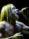 IGGY POP CONCERT Royalty Free Stock Photo