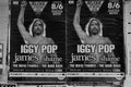 Iggy pop concert posters rock music Royalty Free Stock Photo