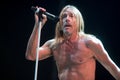 Iggy Pop Royalty Free Stock Photo