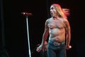 Iggy Pop Royalty Free Stock Photo