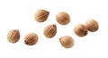 Coriander Seeds Isolated on White Background Royalty Free Stock Photo