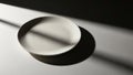 Ighlighting the plate s round shape and emphasizing its simplicity and Royalty Free Stock Photo
