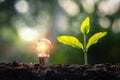 ightbulb with small tree on soil in nature and sunshine. concept saving Royalty Free Stock Photo