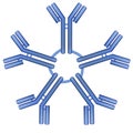 IgM antibody pentamer molecule Royalty Free Stock Photo