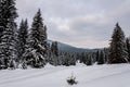 Igman mountain in the winter Royalty Free Stock Photo