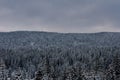 Igman mountain in the winter Royalty Free Stock Photo
