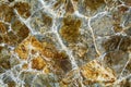 Igneous rock lava closeup. Royalty Free Stock Photo