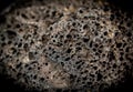 Porous Igneous Rock Lava Rock Royalty Free Stock Photo