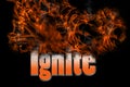 Ignite 3D illustration word in fire text
