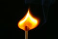 Igniting Match Royalty Free Stock Photo