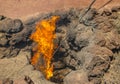 Ignition of the volcanic fire in Timanfaya National Park