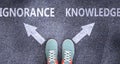 Ignorance and knowledge as different choices in life - pictured as words Ignorance, knowledge on a road to symbolize making