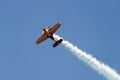 Airplane on display at the 27th edition of Aerosport in Odena. Acrobatic flight Royalty Free Stock Photo