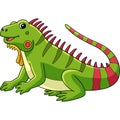 Iguana Animal Cartoon Colored Clipart Illustration Royalty Free Stock Photo