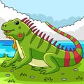 Iguana Animal Colored Cartoon Illustration Royalty Free Stock Photo