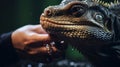 An iguana is being held by someone& x27;s hand, AI Royalty Free Stock Photo