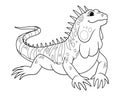 Iguana Cartoon Animal Illustration BW