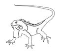 Iguana. Coloring book illustration