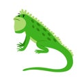 Iguana exotic reptile cartoon icon