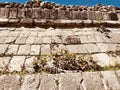 An iguana explores ChichÃÂ©n ItzÃÂ¡ - The ancient ruins of the Yucatan Peninsula - MEXICO