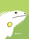 Iguana face flat icon design, vector illustration Royalty Free Stock Photo