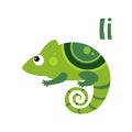 Iguana. Funny Alphabet, Animal Vector Illustration Royalty Free Stock Photo