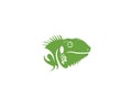 Iguana head logo template