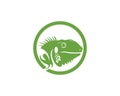 Iguana head logo template