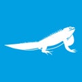 Iguana icon white