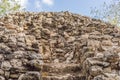 Iguana, lizard Coba, Mexico. Ancient mayan city in Mexico. Coba is an archaeological area and a famous landmark of
