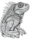iguana lizard head, black white outline for coloring book page, AI generative coloring card