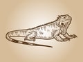 Iguana sketch, drawing a big lizard. Apparel print design sepia