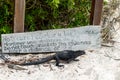 Iguana walking in front of a sign that says not to disturb the iguanas in the Galapagos Islands Royalty Free Stock Photo
