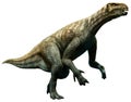 Iguanodon