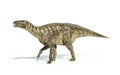 Iguanodon Dinosaur photorealistic representation, side view. Royalty Free Stock Photo