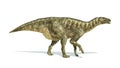 Iguanodon Dinosaur photorealistic representation, side view. Royalty Free Stock Photo
