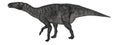 Iguanodon dinosaur walking - 3D render Royalty Free Stock Photo