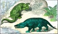 The iguanodon and the megalosaurus of the Cretaceous period, vintage engraving