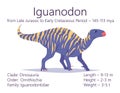 Iguanodon. Ornithischian dinosaur. Colorful vector illustration of prehistoric creature iguanodon and description of