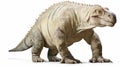 Iguanodon On White Background: Full Body Dinosaur Illustration Royalty Free Stock Photo