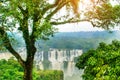 Iguassu Falls, Brazil, America: Extraordinary view from the Brazilian waterfalls. Seventh wonder of the world